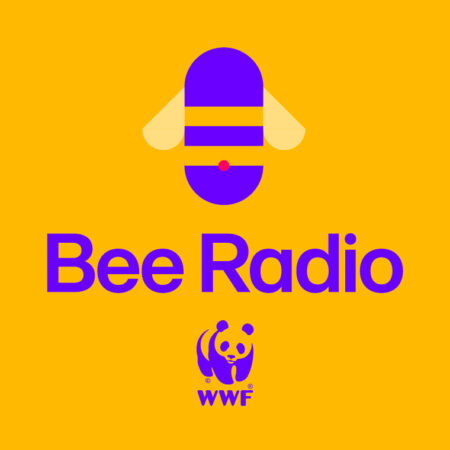 Bee Radio