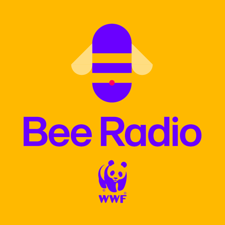 Bee Radio