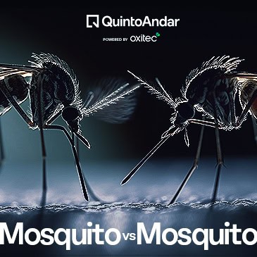 Mosquito vs Mosquito