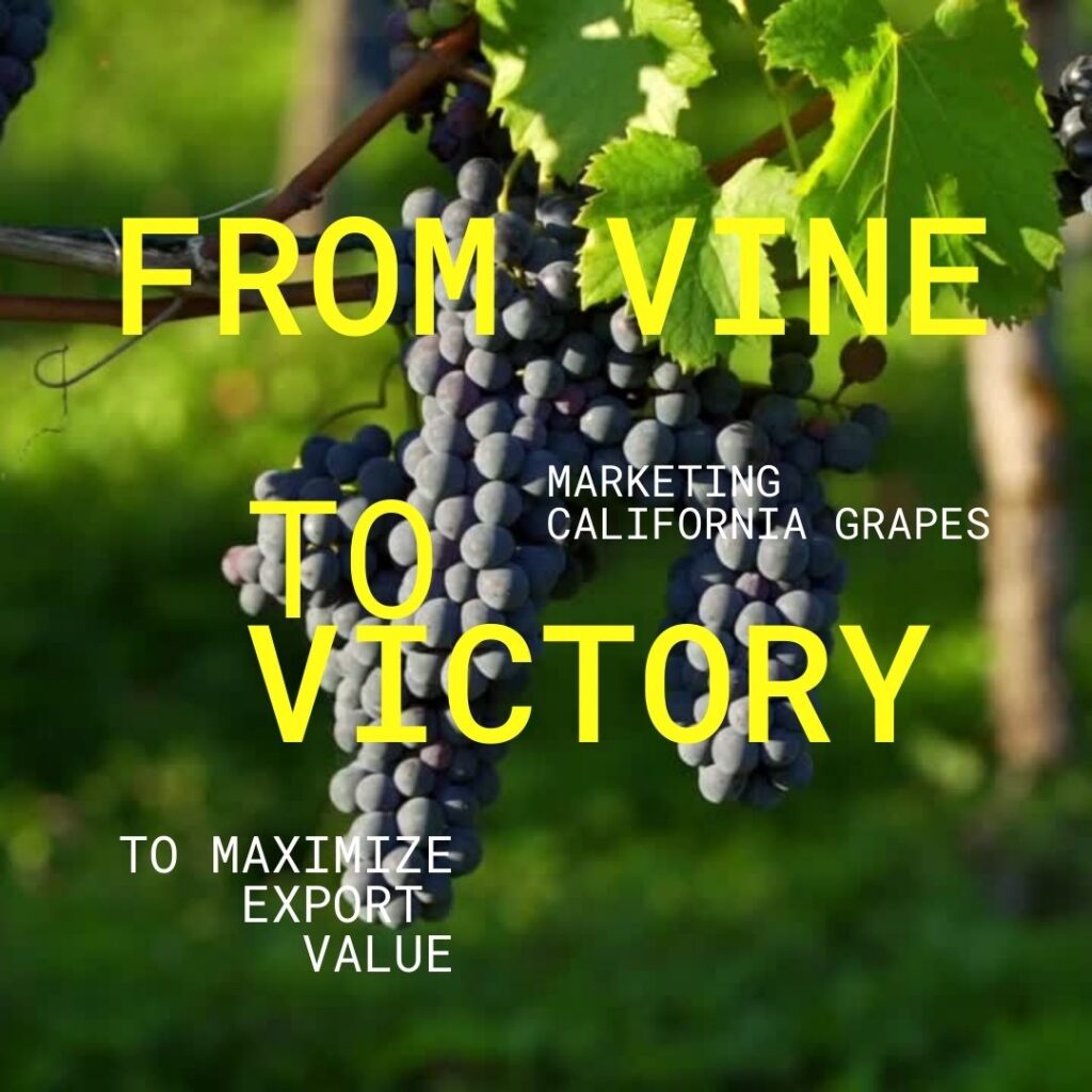 From Vine to Victory 6.12M in Incremental Grape Gains